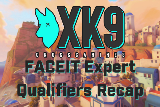 XK9 Battles Through Expert Qualifiers